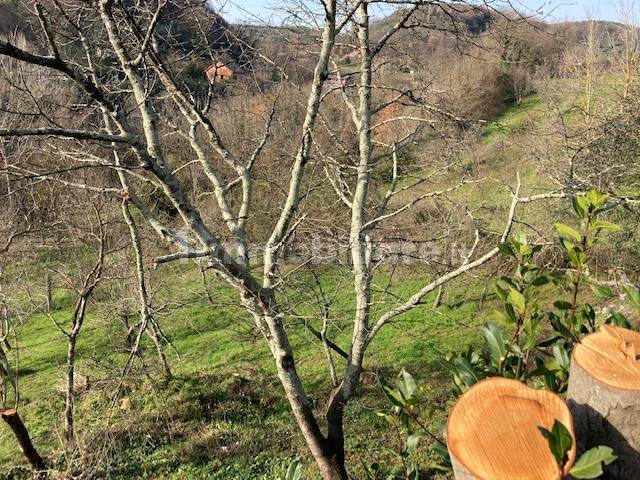 Terreno agricolo in Vendita - immagine 9 di 14